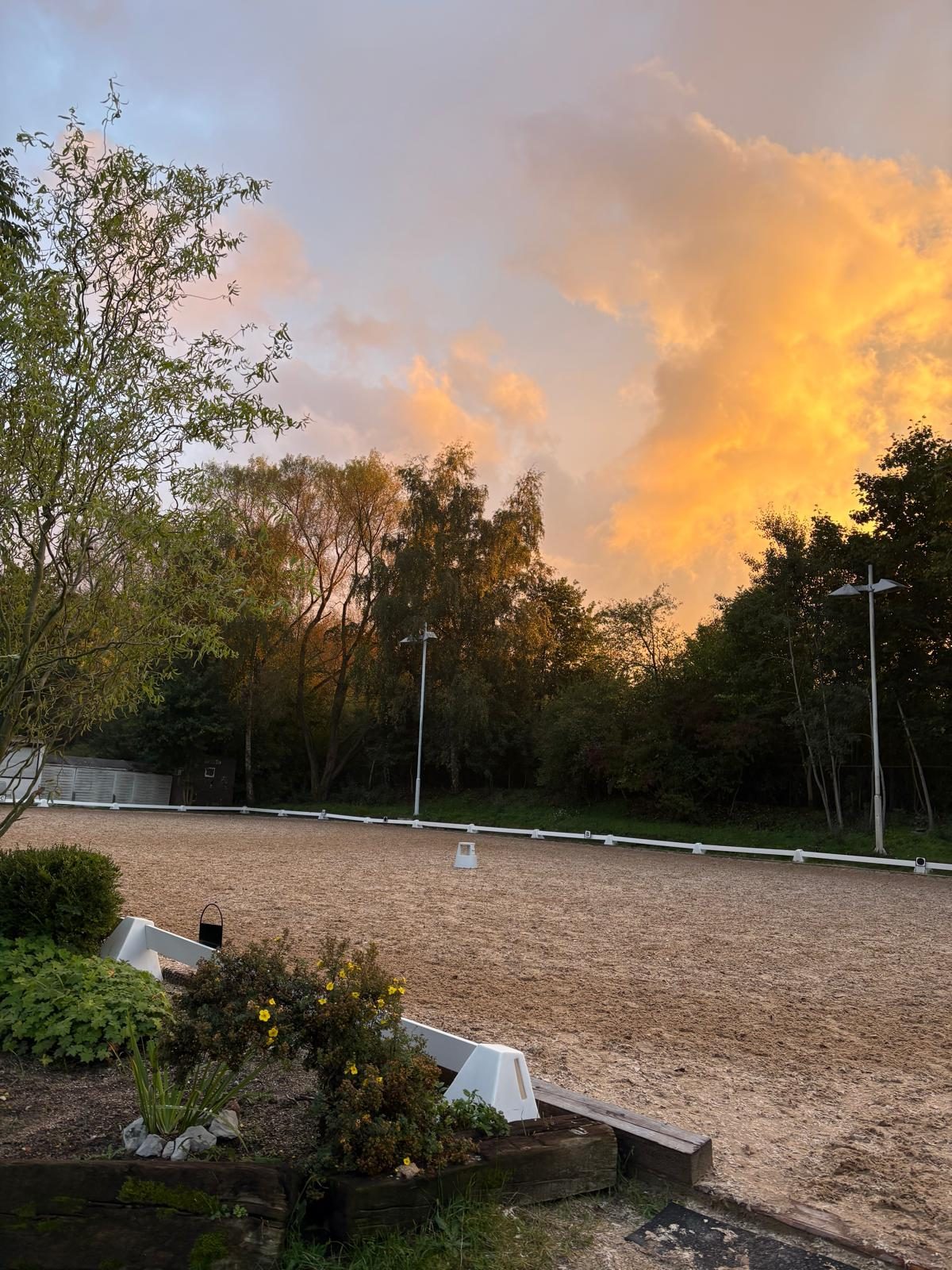 Frisch sanierter Außenplatz im Abendrot mit neuem Boden