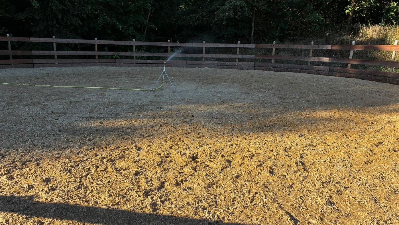 Das Roundpen mit umlaufender Holzumzäunung wird bewässert, im Hintergrund der Wald